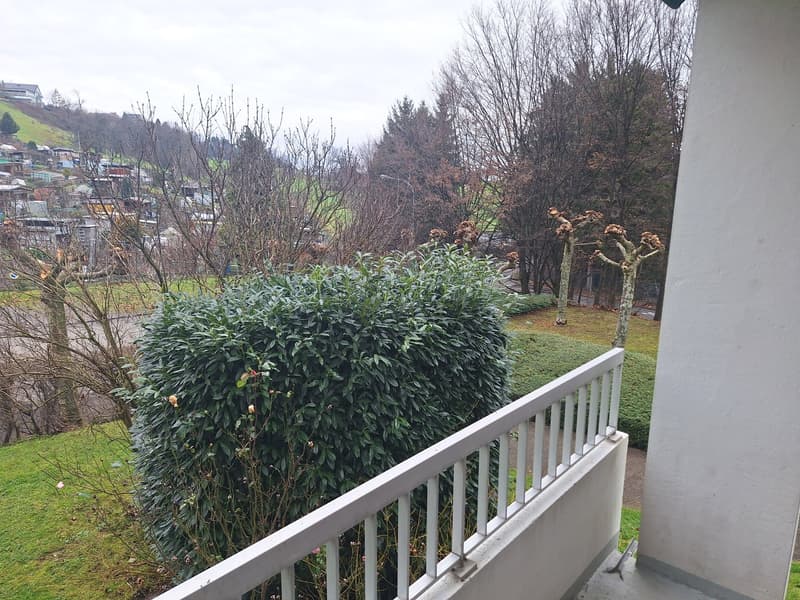 3.5-Zimmer-Wohnung Tiefenhofstrasse 15 (9)