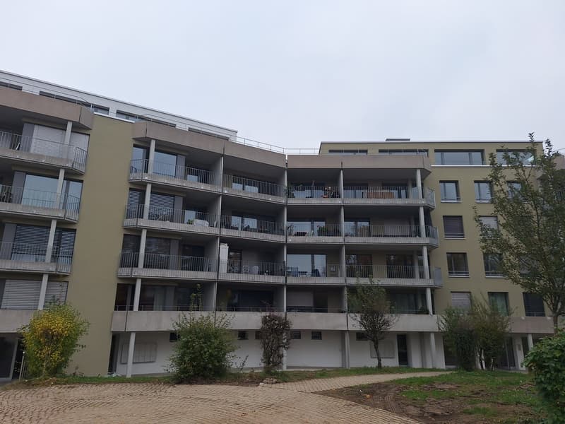 neu renovierte 3.5-Zimmer-Wohnungen mit Balkon in Oftringen (6)