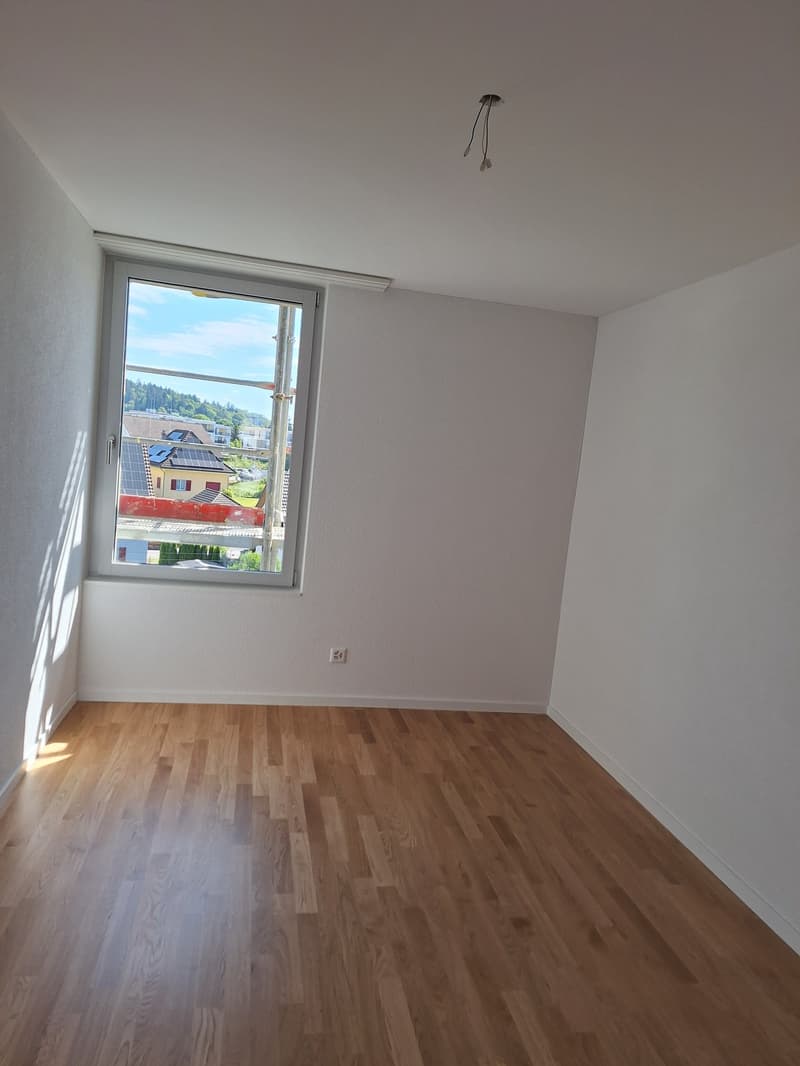 neu renovierte 3.5-Zimmer-Attika-Wohnung (4)