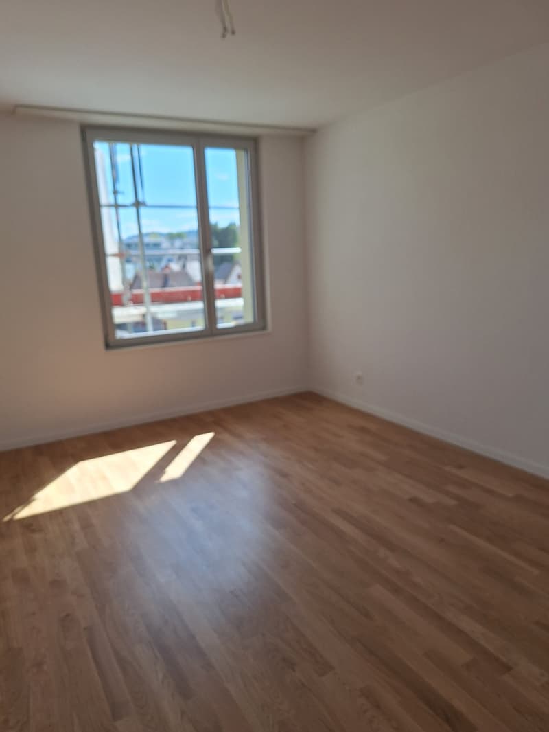 neu renovierte 3.5-Zimmer-Attika-Wohnung (3)