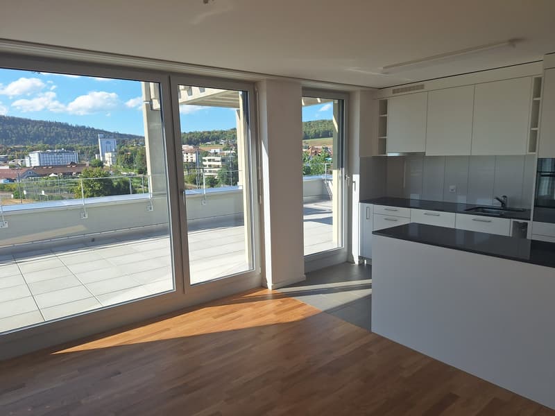 neu renovierte 3.5-Zimmer-Attika-Wohnung (1)