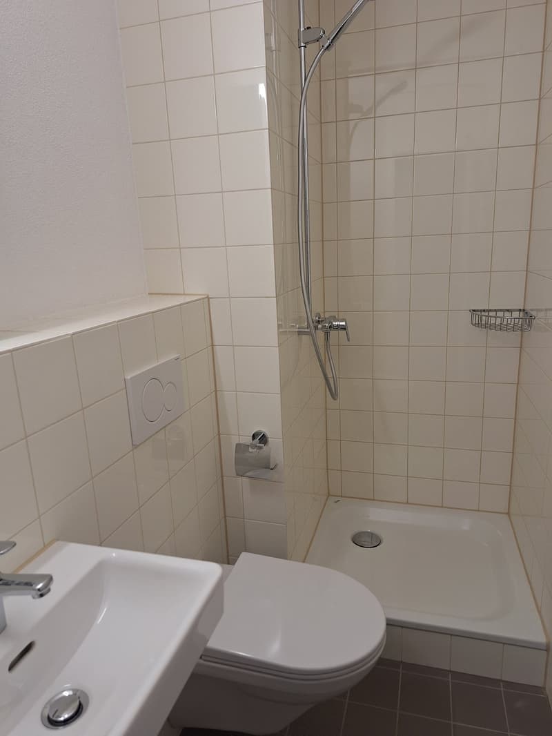 neu renovierte 3.5-Zimmer-Attika-Wohnung (5)