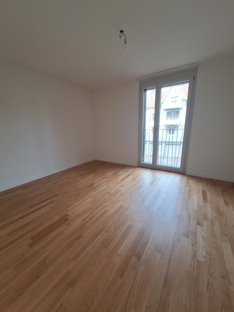 neu renovierte 4.5-Zi-Wohnung (3)