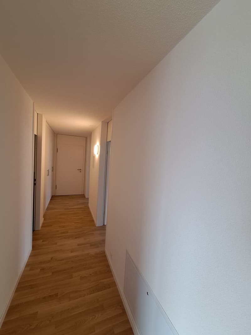 neu renovierte 4.5-Zi-Wohnung (5)