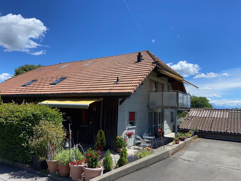 Appartement spacieux de 6,5 pièces avec grande terrasse et jardin (10)