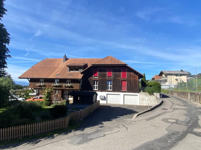 Appartement spacieux de 6,5 pièces avec grande terrasse et jardin (14)