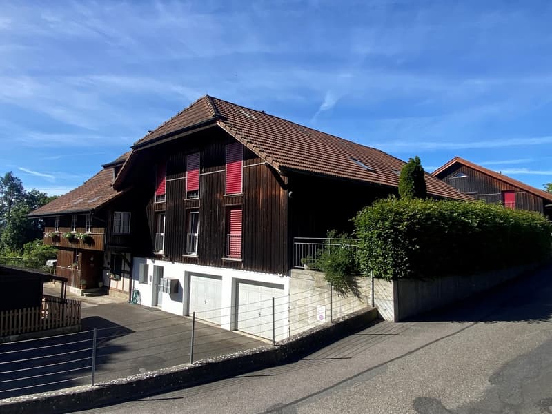 Appartement spacieux de 6,5 pièces avec grande terrasse et jardin (15)