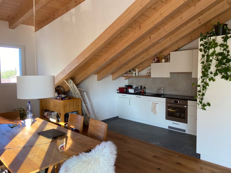 Nouvel appartement loft en mansarde (2)