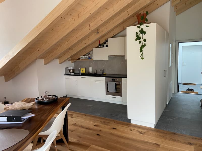 Nouvel appartement loft en mansarde (5)