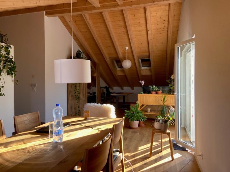 Nouvel appartement loft en mansarde (13)