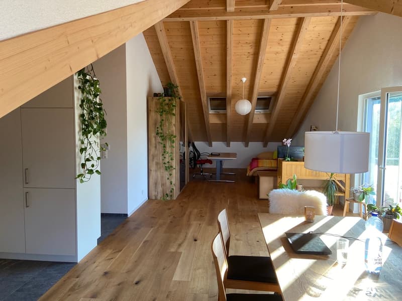Nouvel appartement loft en mansarde (15)