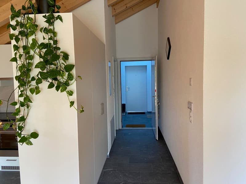 Nouvel appartement loft en mansarde (12)