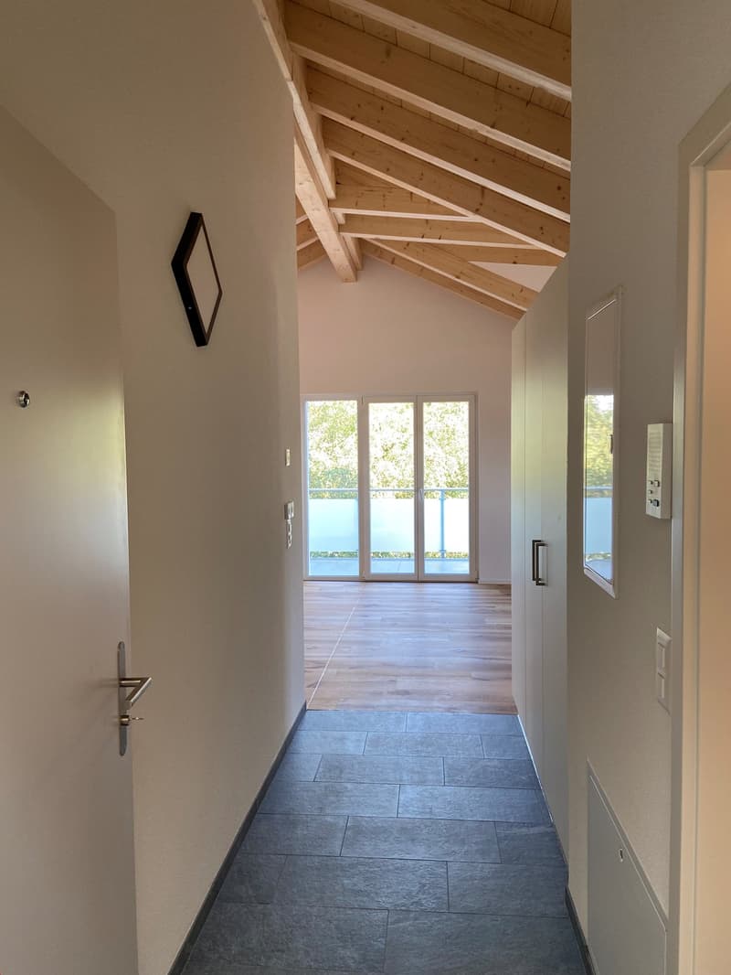 Nouvel appartement loft en mansarde (9)