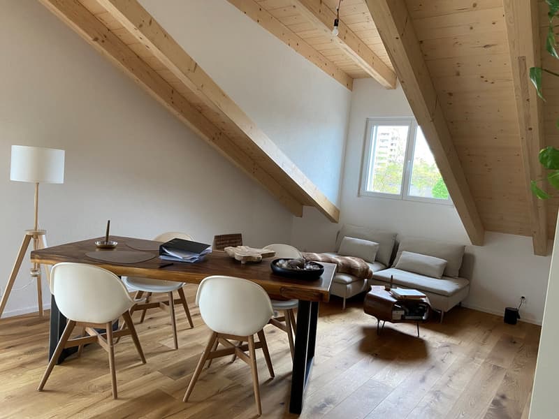 Nouvel appartement loft en mansarde (4)