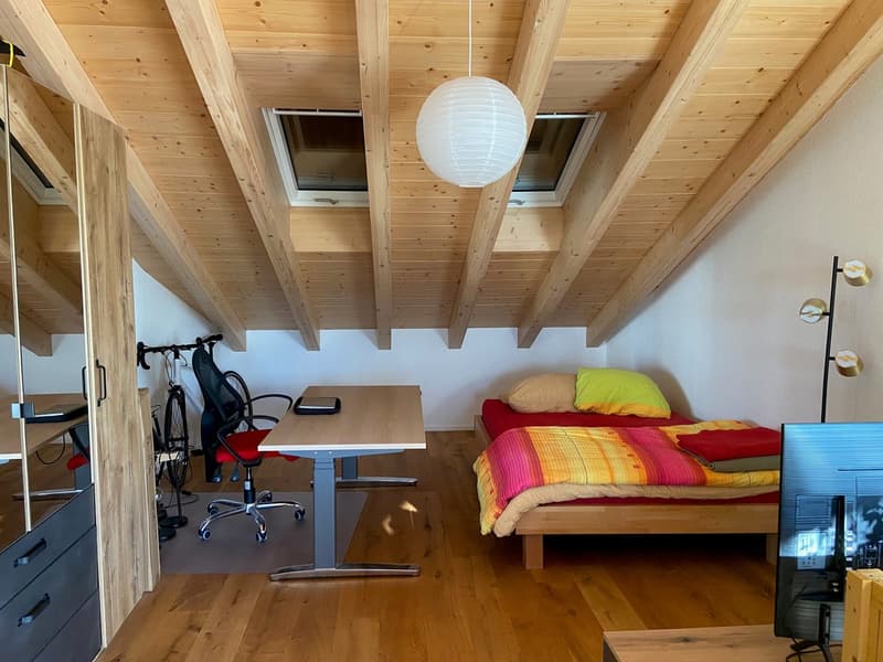 Nouvel appartement loft en mansarde (14)