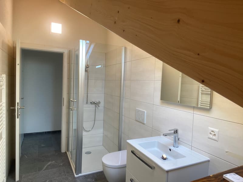Nouvel appartement loft en mansarde (8)