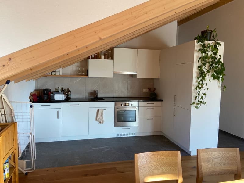 Nouvel appartement loft en mansarde (1)