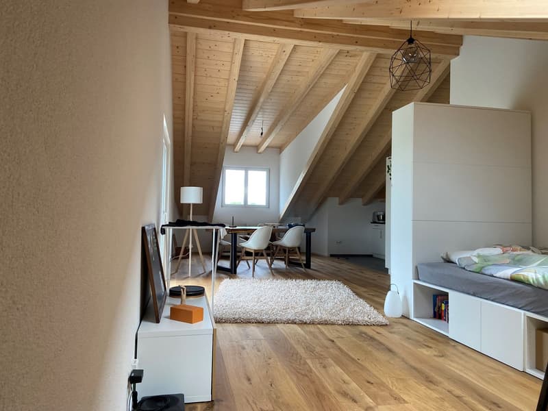 Nouvel appartement loft en mansarde (3)