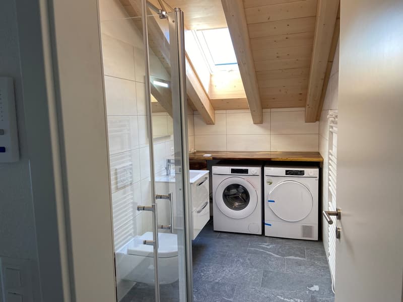 Nouvel appartement loft en mansarde (7)