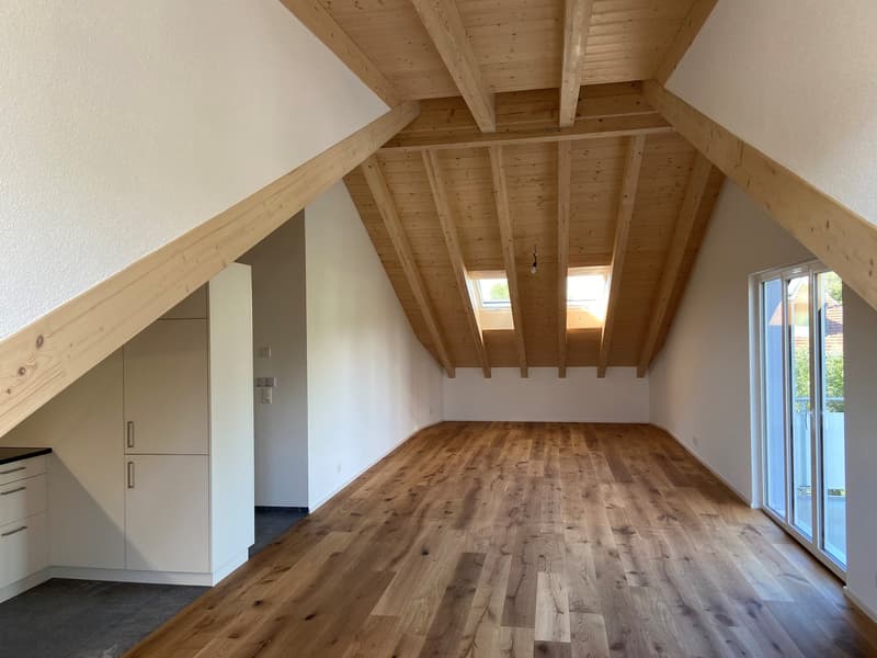 Nouvel appartement loft en mansarde (6)