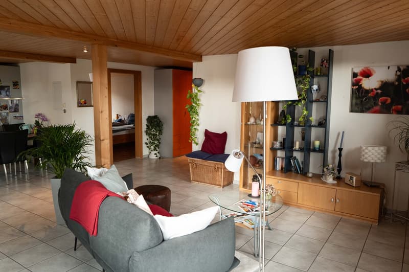 Grosszügige 6.5-Zimmer-Wohnung mit grosser Terrasse und Garten (5)