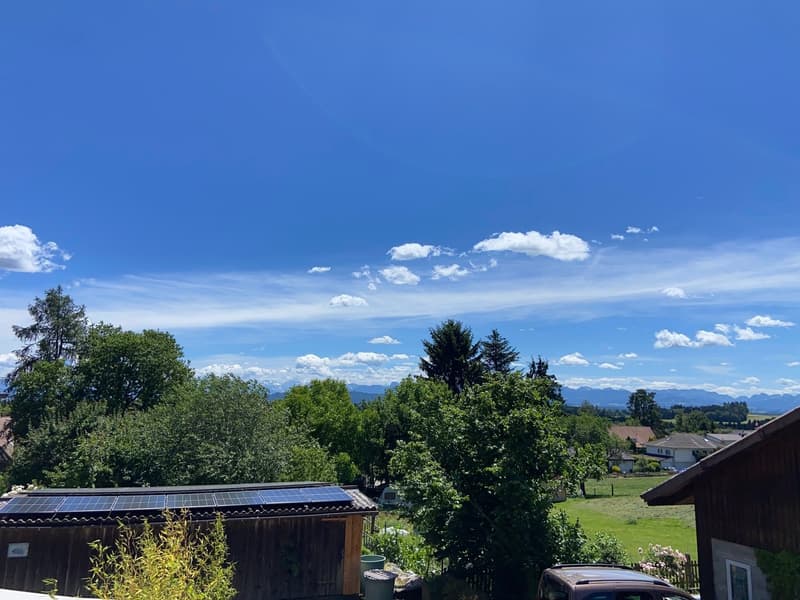 Grosszügige 6.5-Zimmer-Wohnung mit grosser Terrasse und Garten (2)