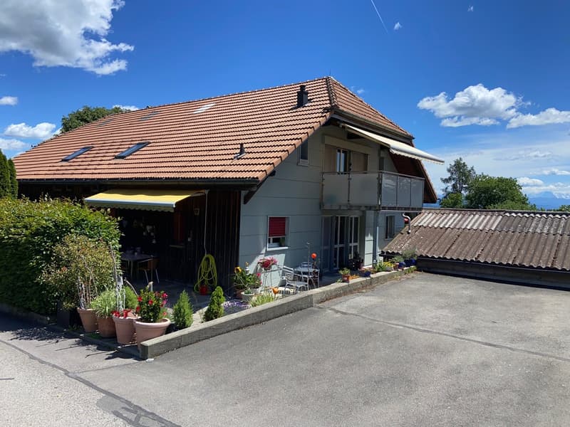 Grosszügige 6.5-Zimmer-Wohnung mit grosser Terrasse und Garten (12)