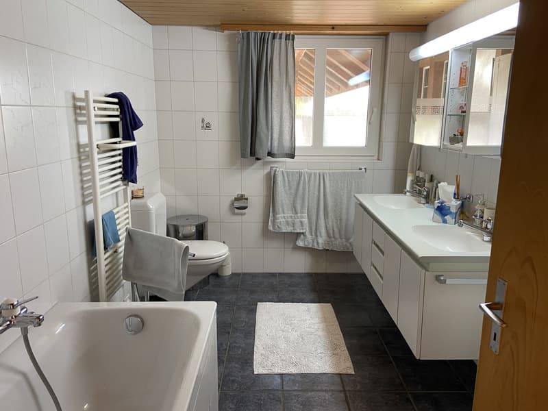 Grosszügige 6.5-Zimmer-Wohnung mit grosser Terrasse und Garten (10)