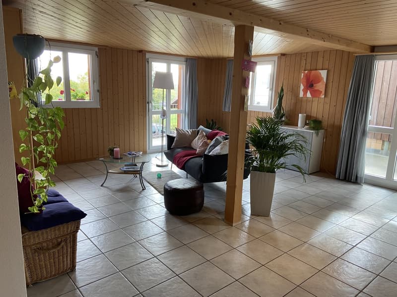 Grosszügige 6.5-Zimmer-Wohnung mit grosser Terrasse und Garten (3)