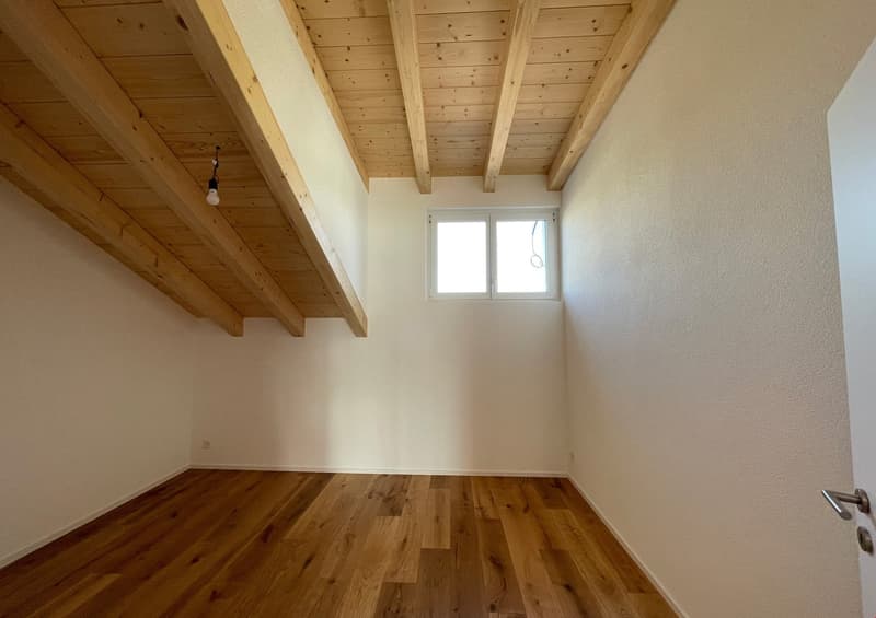 neue Dach-Loftwohnung 2.5 Zimmer (8)