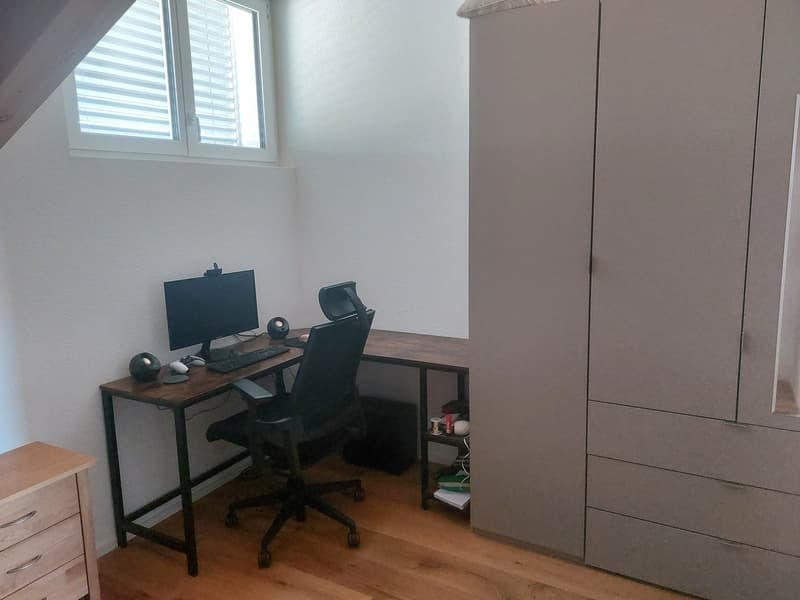 neue Dach-Loftwohnung 2.5 Zimmer (10)