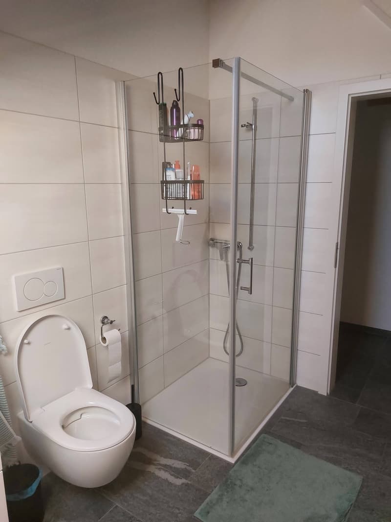 neue Dach-Loftwohnung 2.5 Zimmer (18)