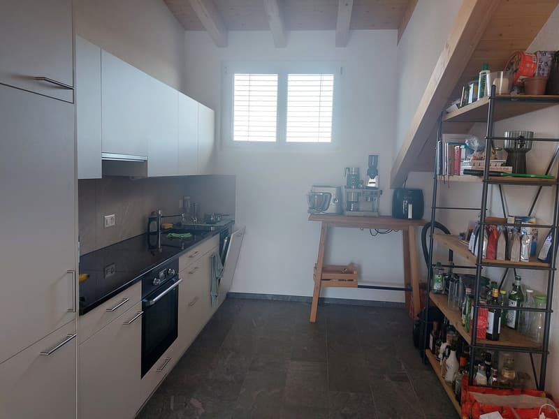 neue Dach-Loftwohnung 2.5 Zimmer (14)