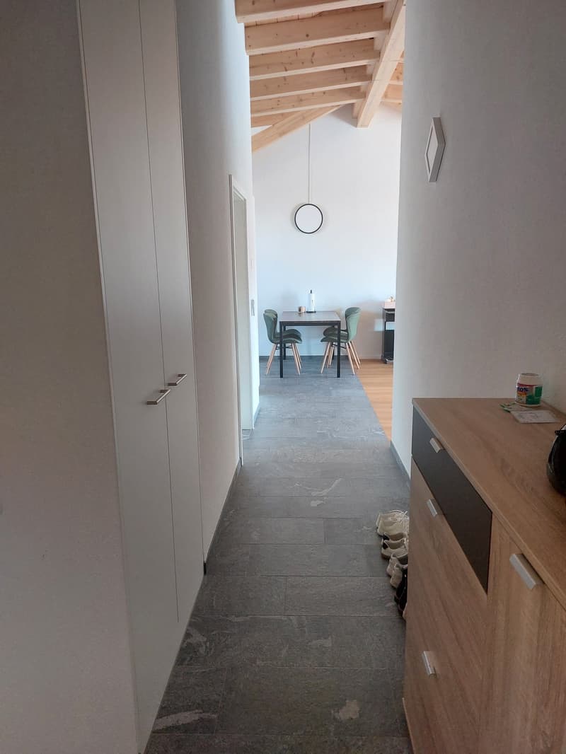 neue Dach-Loftwohnung 2.5 Zimmer (20)