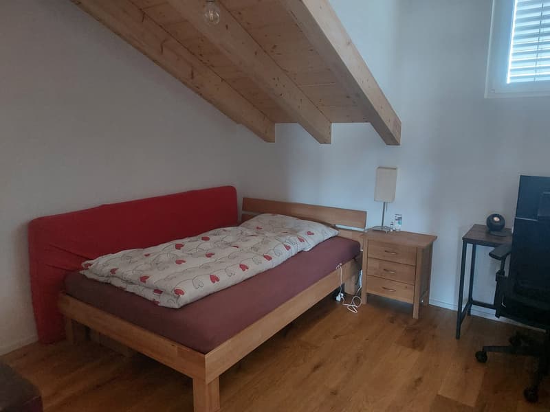 neue Dach-Loftwohnung 2.5 Zimmer (9)