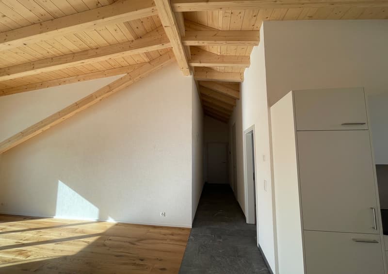 neue Dach-Loftwohnung 2.5 Zimmer (11)
