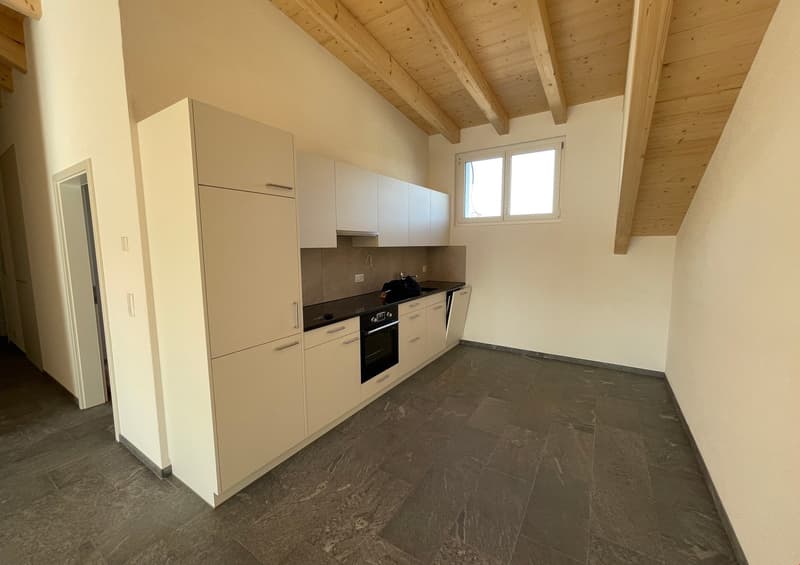 neue Dach-Loftwohnung 2.5 Zimmer (13)