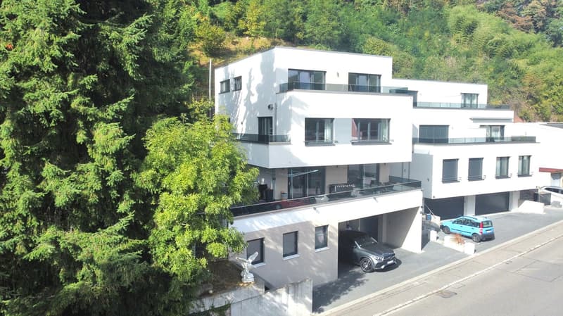 Moderne neuwertige 9 Zi. - Villa in Degerfelden mit energieeffizienter Wärmepumpe & Photovoltaikan. (1)