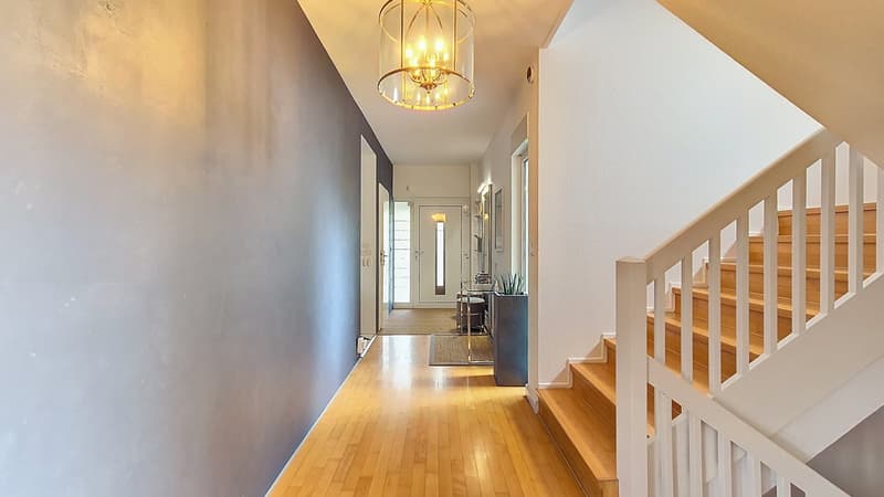 wooden flooring, hallway leading to staircase, gray wall, white railings, hallway lighting, decorative plant, rug by door