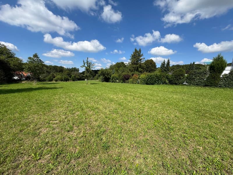 Large open green lawn with trees on the sides