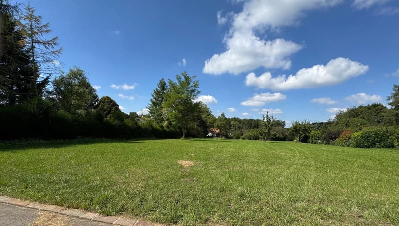 Large green lawn, shrubs and trees surrounding the lawn, clear blue sky with clouds.