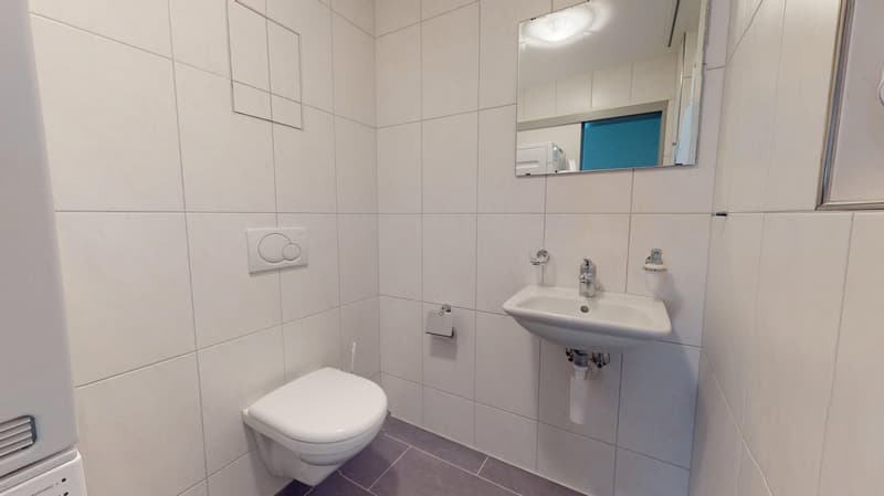 white tiled walls, toilet, sink, mirror, faucets, air purifier