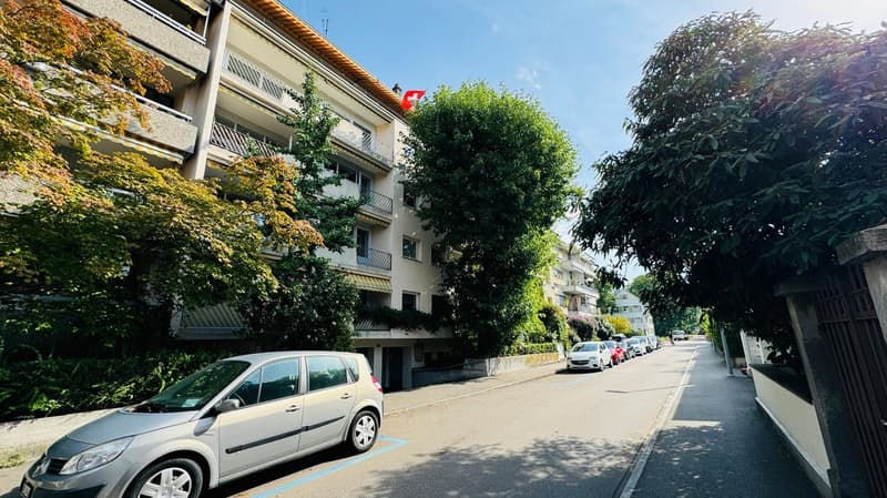 Multistory building, cars parked in front, street trees, parking zone
