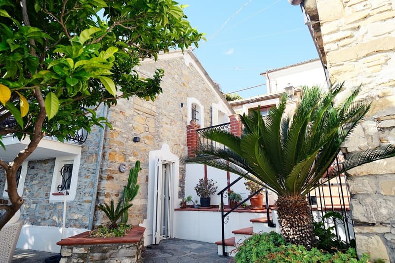 stone walls, white walls, black railings, potted plants, open door, staircase