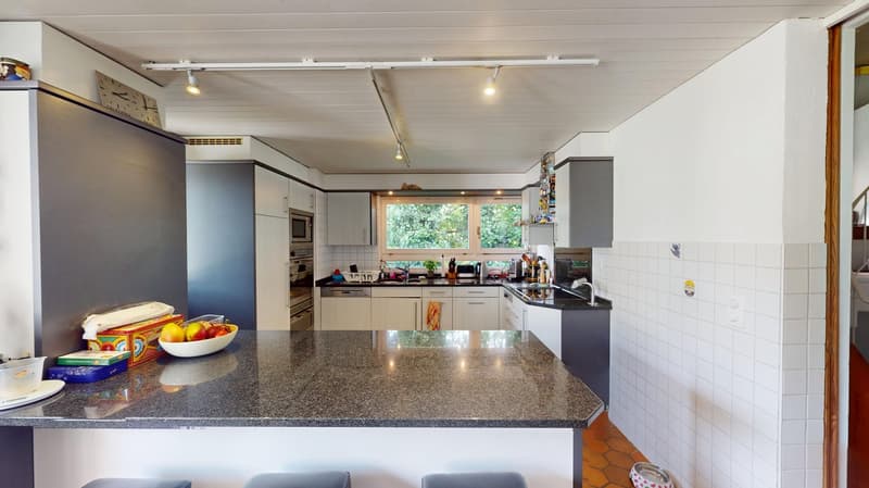 modern kitchen with island, granite countertop, large windows, dishwasher, fruits on countertop, appliances