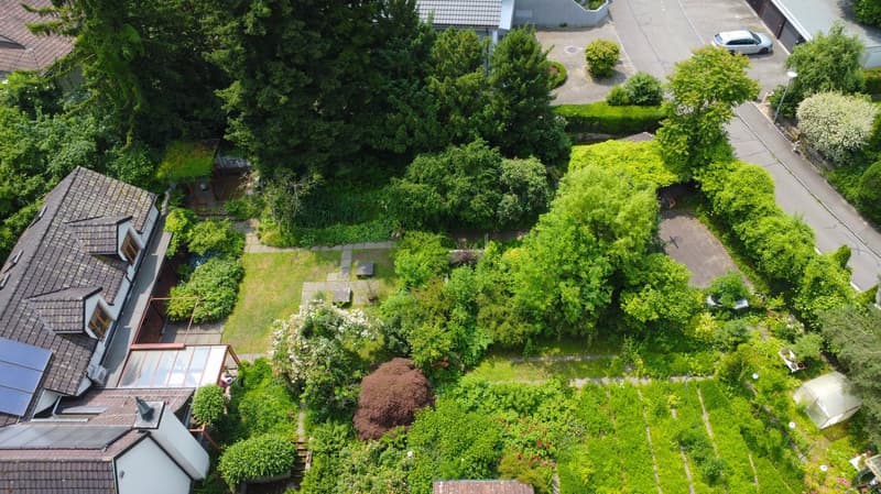 Trees, bushes, garden plot, solar panels, driveway, street lamp