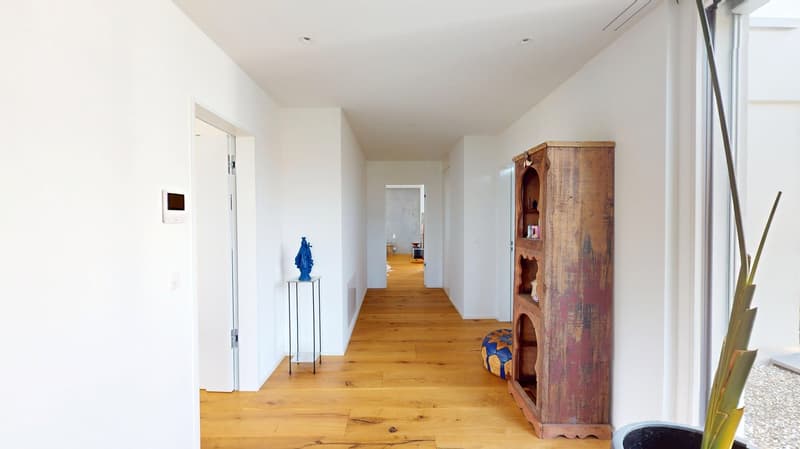 Long hallway with hardwood floors, white walls, a wooden cabinet, potted plant, and a blue sculpture.