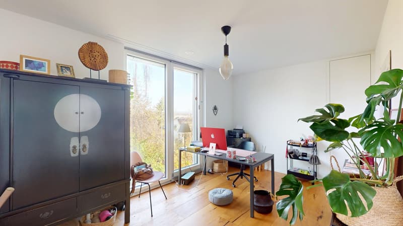 office area with desk, computer, chair, plants, wood flooring, shelves, window, cabinet