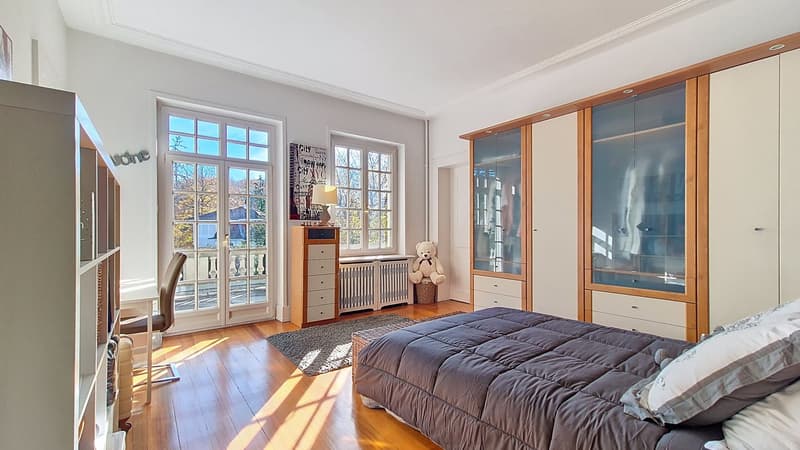 Maison de maître prestigieuse avec 5 suites, piscine et maison d'hôtes séparée dans un excellent emplacement à Mulhouse (8)