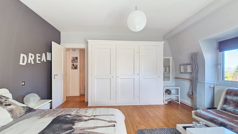 Maison de maître prestigieuse avec 5 suites, piscine et maison d'hôtes séparée dans un excellent emplacement à Mulhouse (11)
